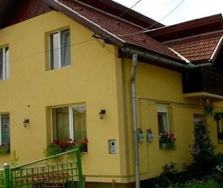 Pensiunea Bio Coltău Εξωτερικό φωτογραφία