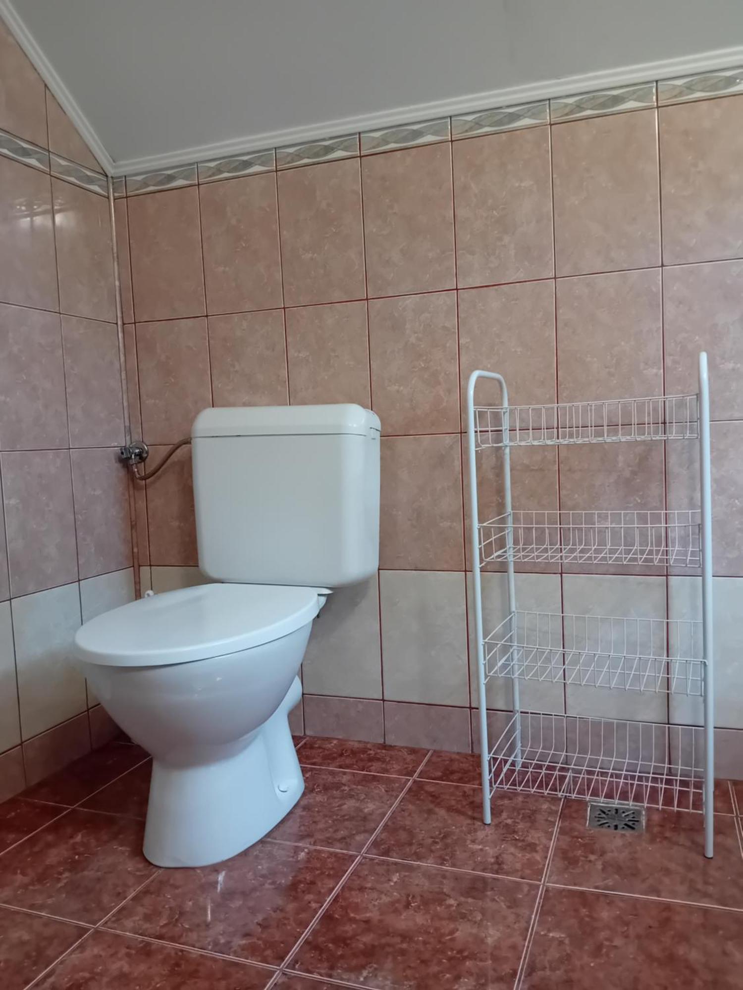 Pensiunea Bio Coltău Εξωτερικό φωτογραφία